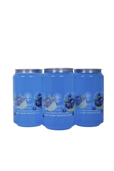 ArinnA Fresh Yaban Mersini Limon Aromalı Doğal Zengin Mineralli İçecek 330 ml